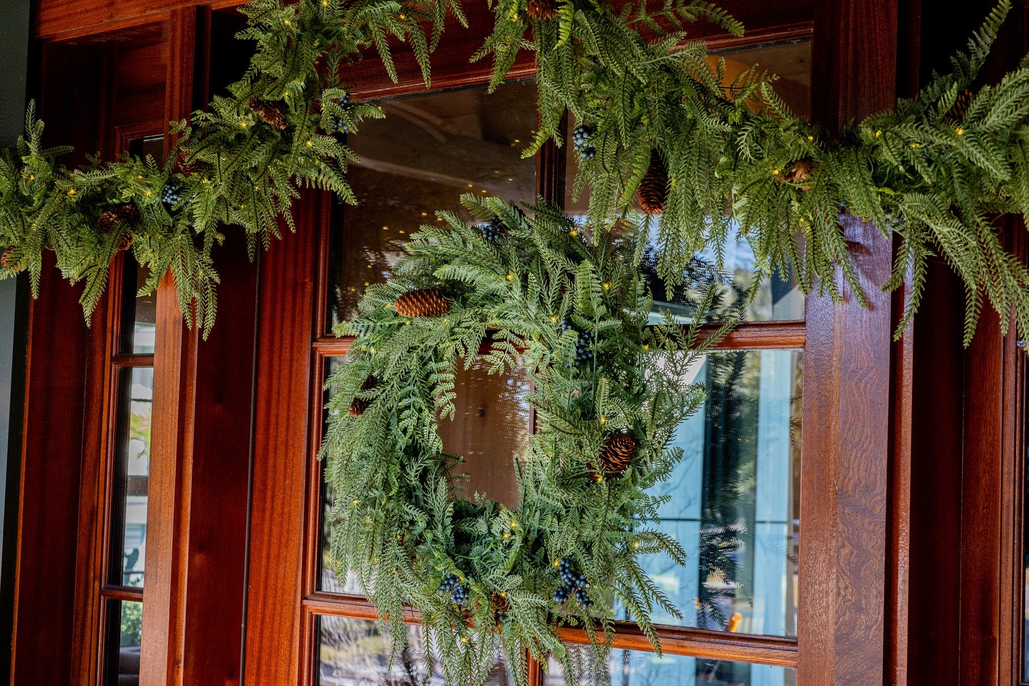 Norfolk Pine Collection